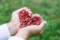 Употребление горсти ягод каждый день снижает риск смерти от сердечных