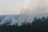 Масштабные пожары в Сибири: площадь огня выросла