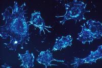 Ученые разработали нанороботов, которые могут помочь в борьбе с раком