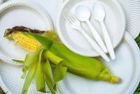 В Украине нашли способ изготавливать одноразовую посуду из кукурузы