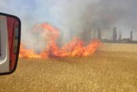В Николаевской области с разницей в полчаса загорелись сразу два поля с пшеницей