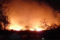 Под Одессой горят заповедники: ветер раздувает пожар (видео)