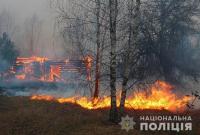 Из-за пожаров в лесах Житомирской области открыли ряд производств