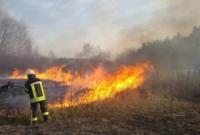 В Хмельницкой области пожар за час уничтожил 16 га пшеницы