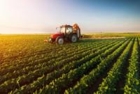 Кількість фермерських господарств в Україні продовжує зростати