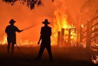 Количество погибших в результате пожаров в Австралии снова возросло