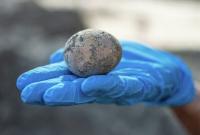 В Израиле на месте раскопок нашли куриное яйцо, которому 1000 лет