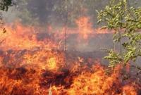 В Україні оголосили надзвичайний рівень пожежної небезпеки