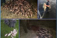 На Запоріжжі браконьєри виловили понад 200 кілограмів риби