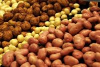 В Україні знову подорожчала картопля