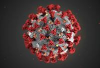 Ученые в США заявили, что обнаружено антитело, что полностью блокирует коронавирус